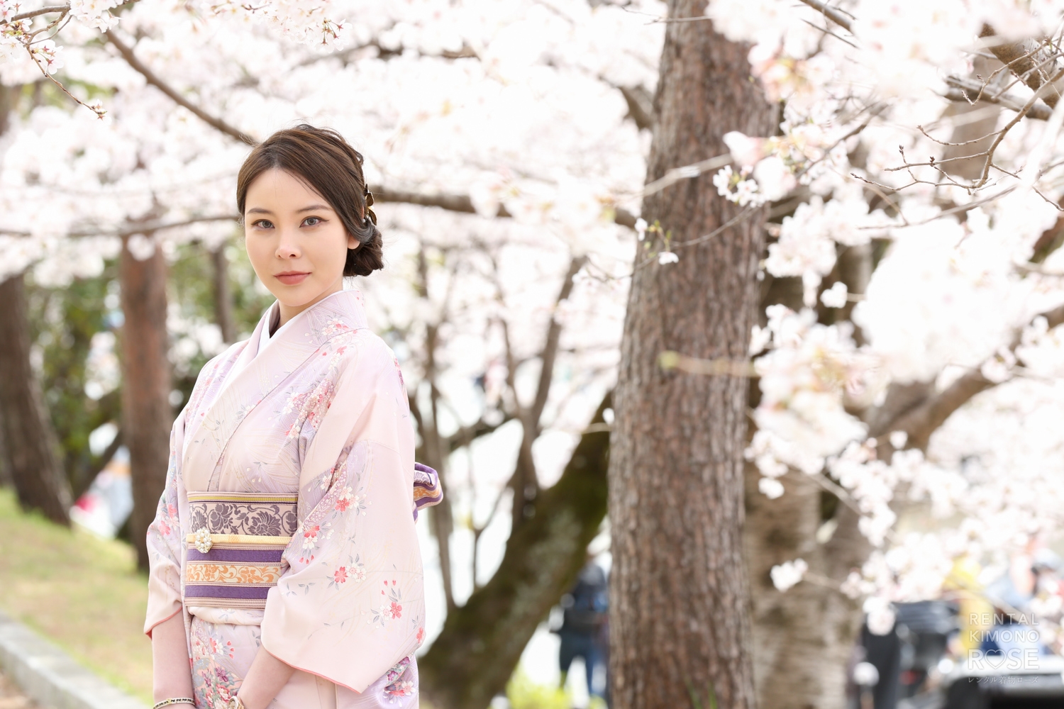 桜咲く京都東山や高台寺公園でアンティーク着物でのロケ撮影